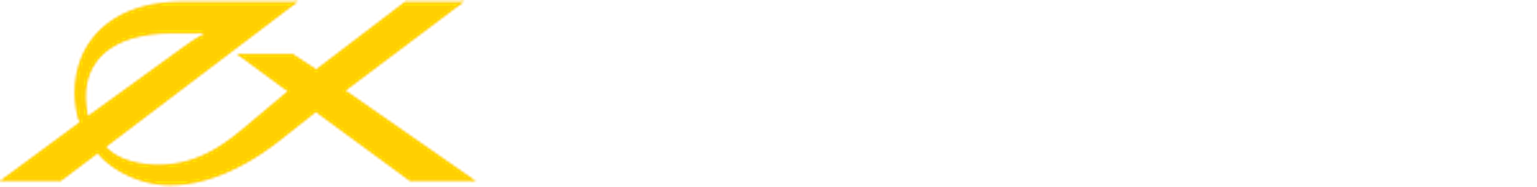 Exness ロゴ